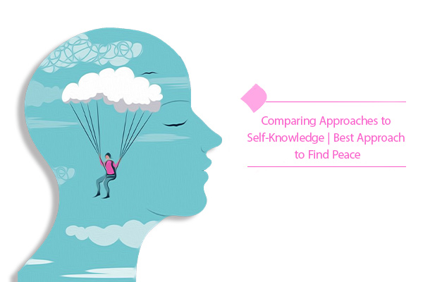 Comparing self-knowledge approaches to find the best way to know humans