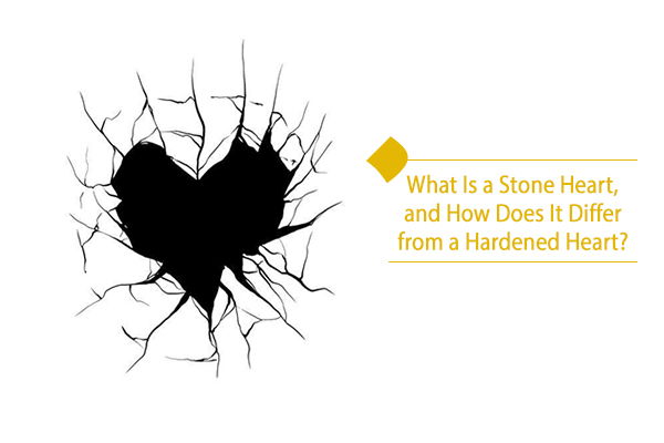 What does the phrase “stone heart” bring to your mind?