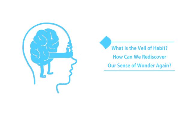 What is the veil of habit? How familiar are you with it?