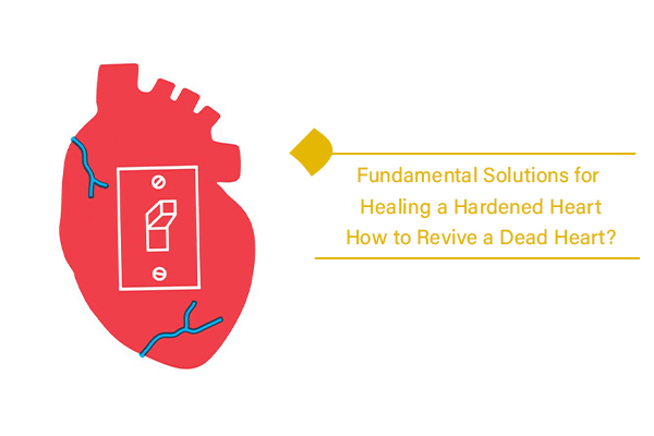 What are the fundamental solutions for healing a hardened heart?